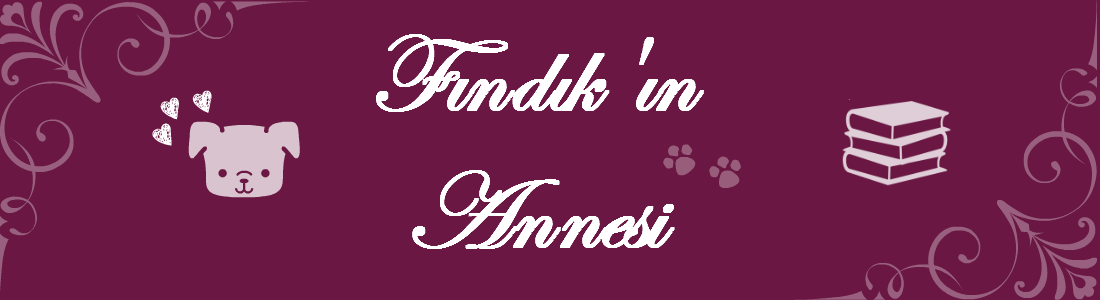 Findik'in Annesi