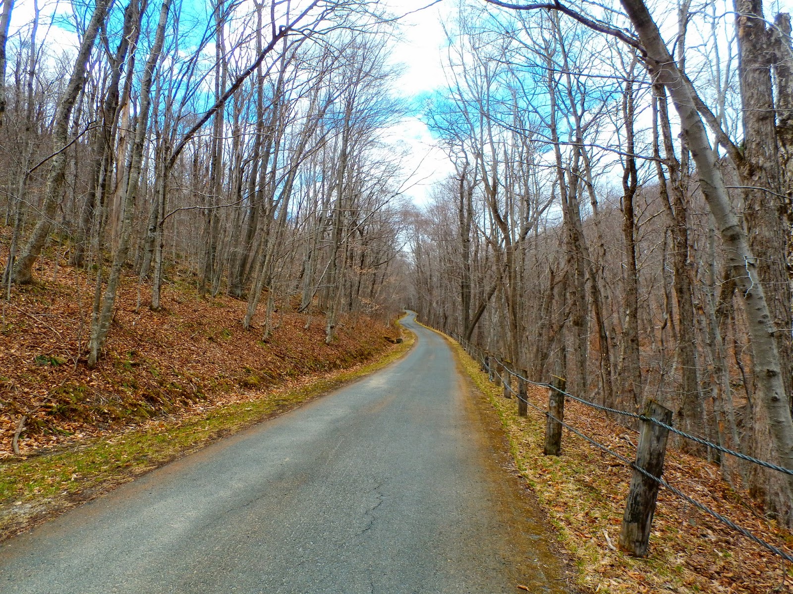 Walking Man 24 7 Berry Pond Circuit Road(Pittsfield State Forest)