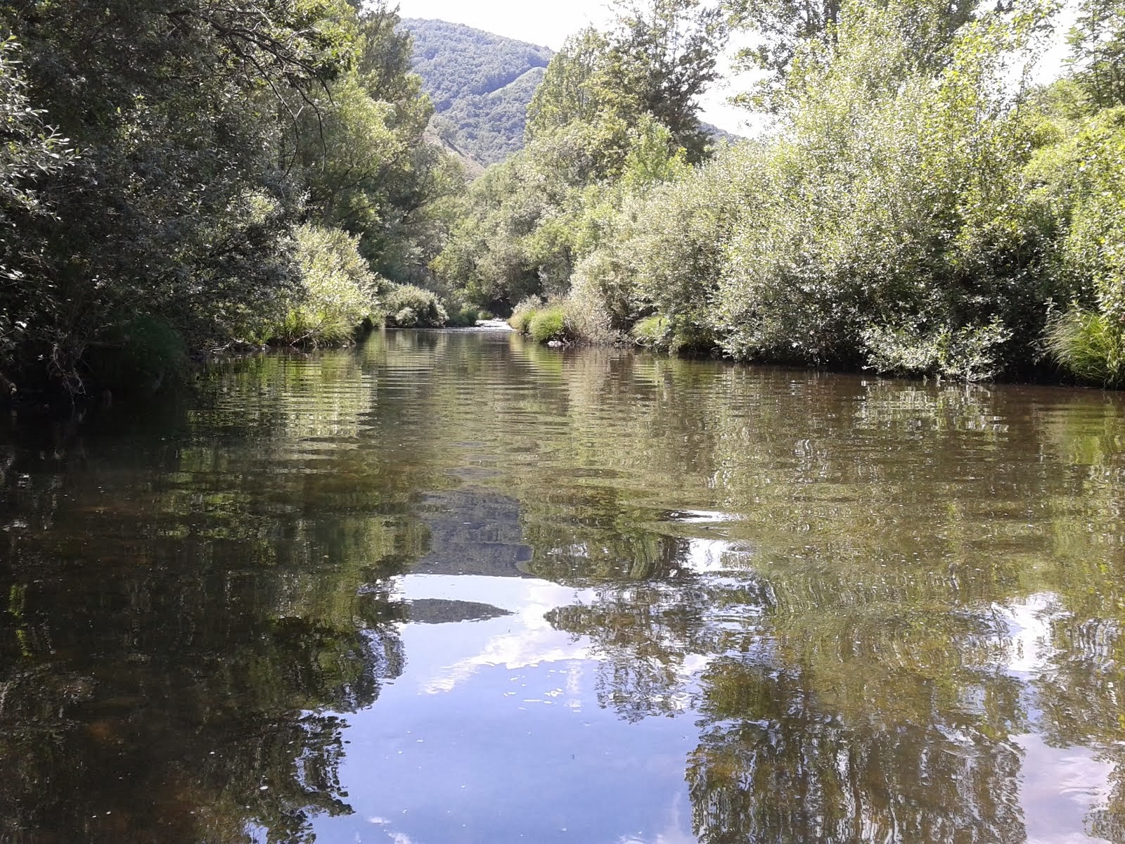 PUENTE DE ALBA, RIO BERNESGA