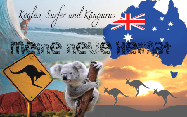 Koalas, Surfer und Kängurus, meine neue Heimat