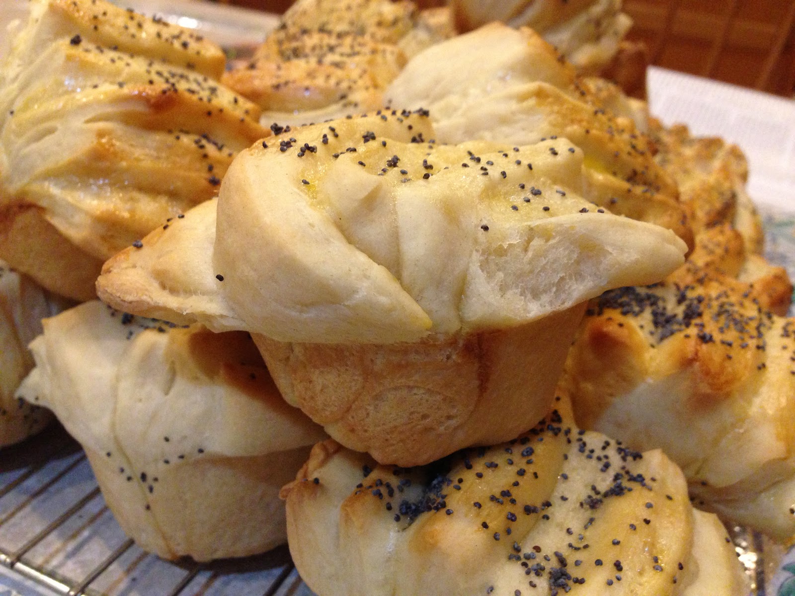 Eat, Run, Read Poppy Seed Dinner Rolls
