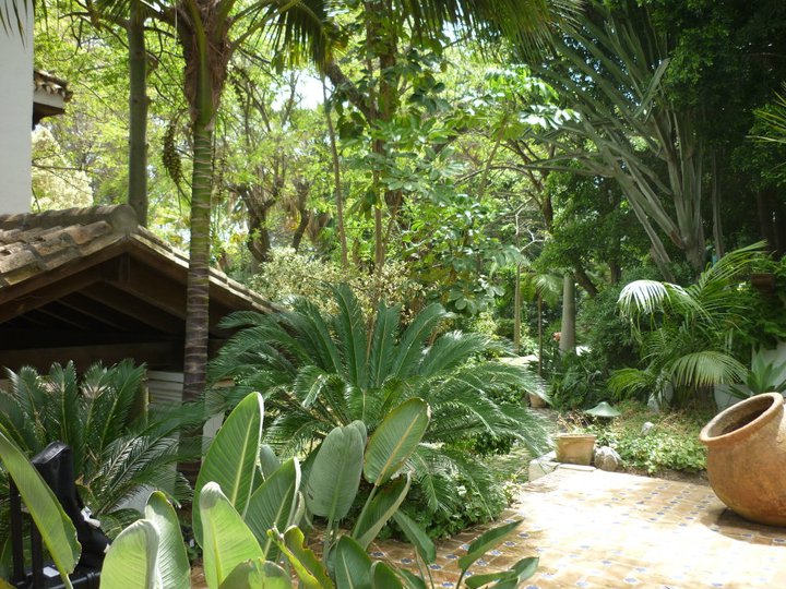 Safari Fashion Shoot