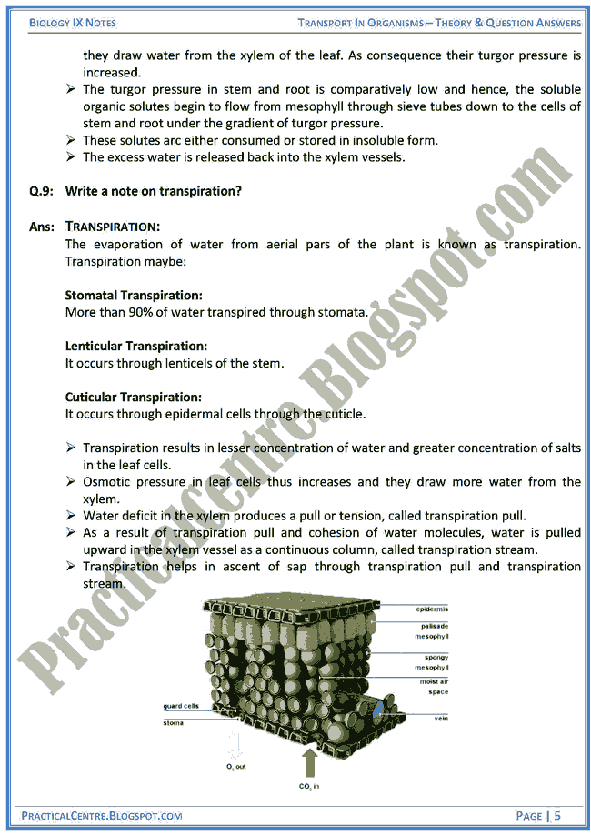 transport-in-organisms-theory-and-question-answers-biology-ix