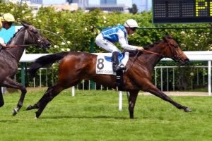 VOIR ARCHIVES 18/06/2017 -CHANTILLY-