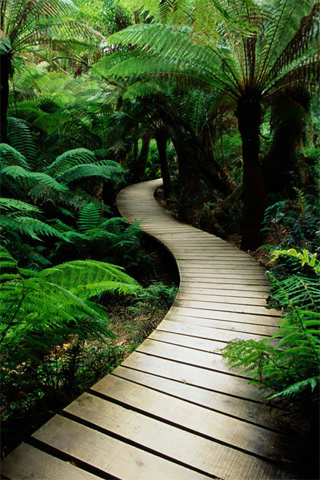 Nature Mobile Wallpaper nature wallpaper in mobile. Nature Mobile Wallpaper