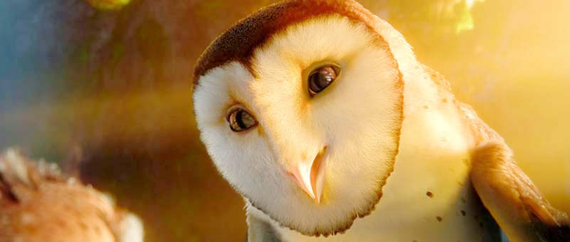 Legend of the Guardians: The Owls of GaHoole 2010 - IMDb