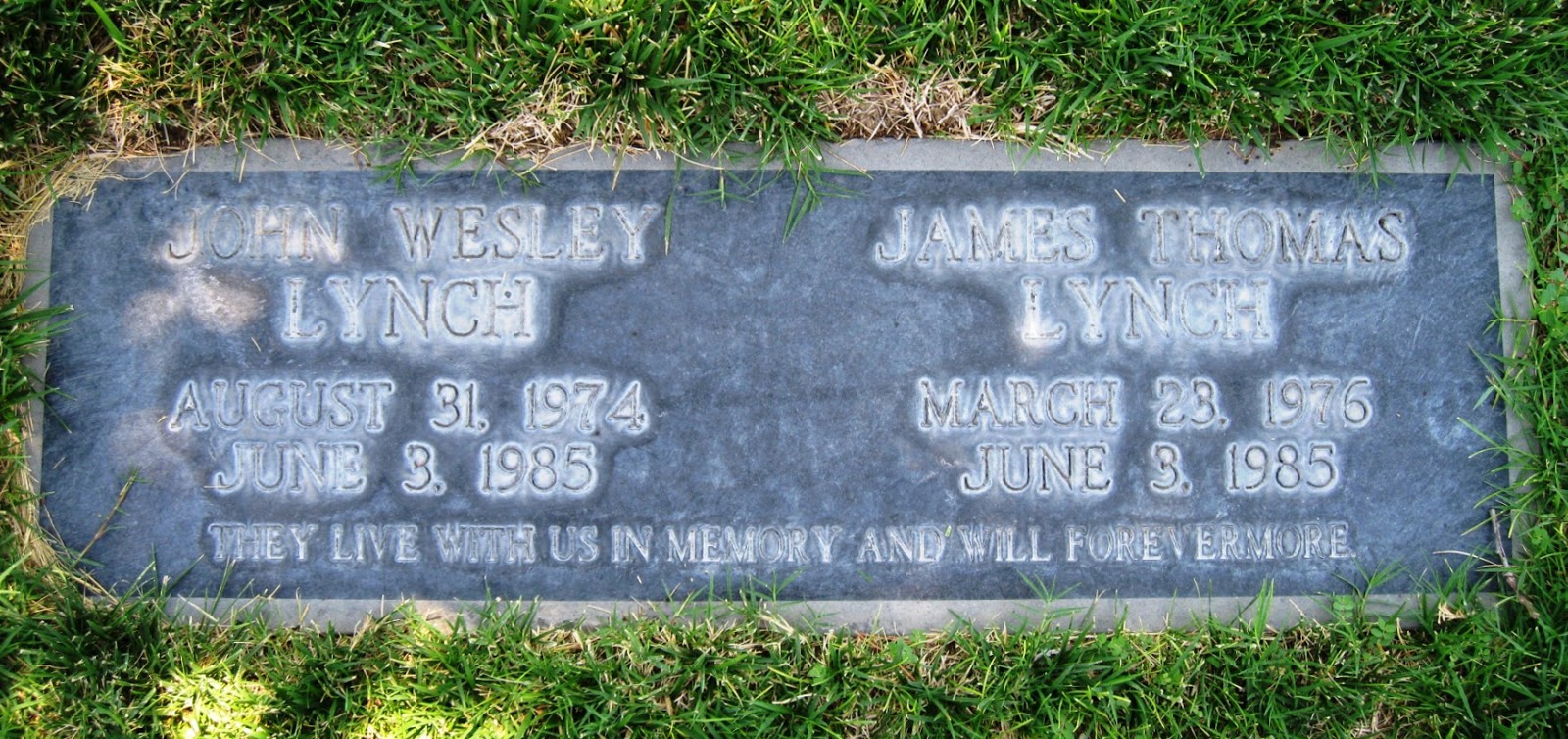 Bitter Blood Thirty years later The Knight Shift