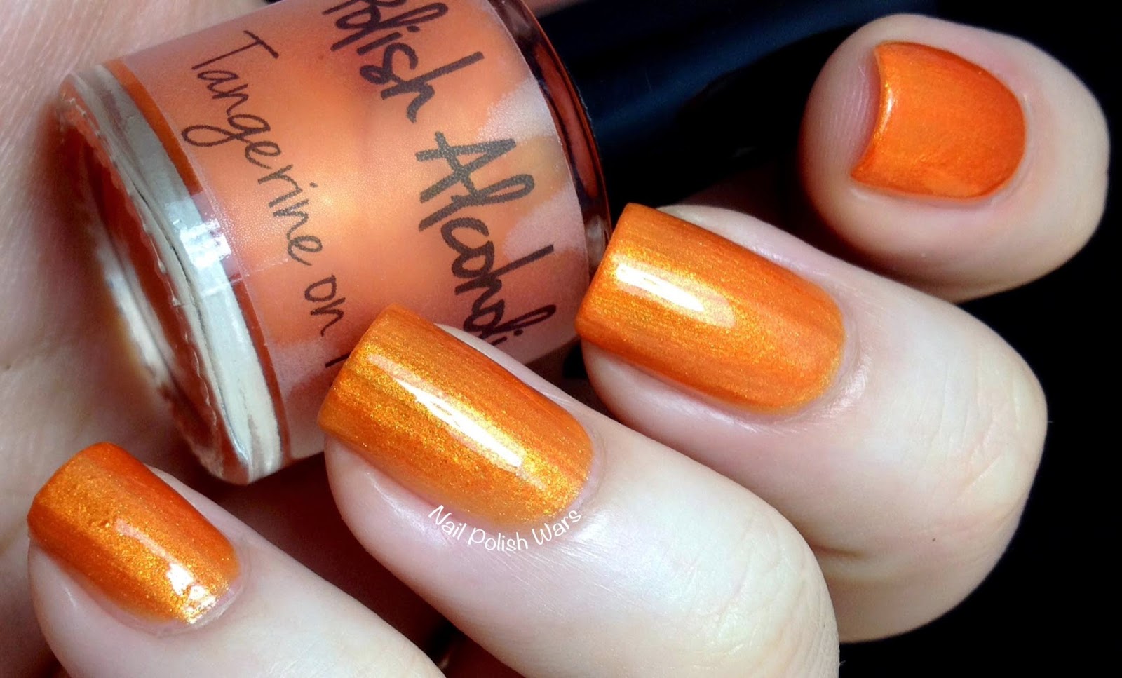 Nail Polish Wars Polish Alcoholic Swatch & Review