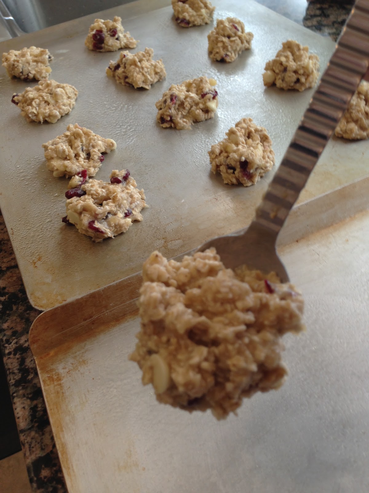 The Edible Editorial LowFat Oatmeal Breakfast "Cookies"