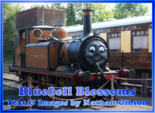 Bluebell Railway Locomotives - LBSCR E4 Birch Grove