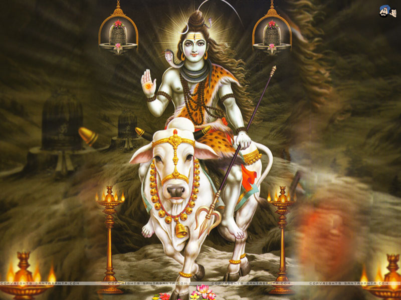 God Shiva Stills