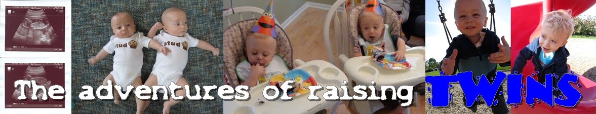 The Adventures of Raising Twins