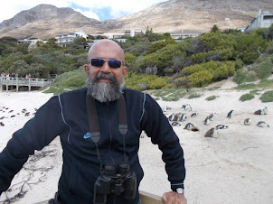 At "Boulder's Beach" Penguin Colony observation deck.