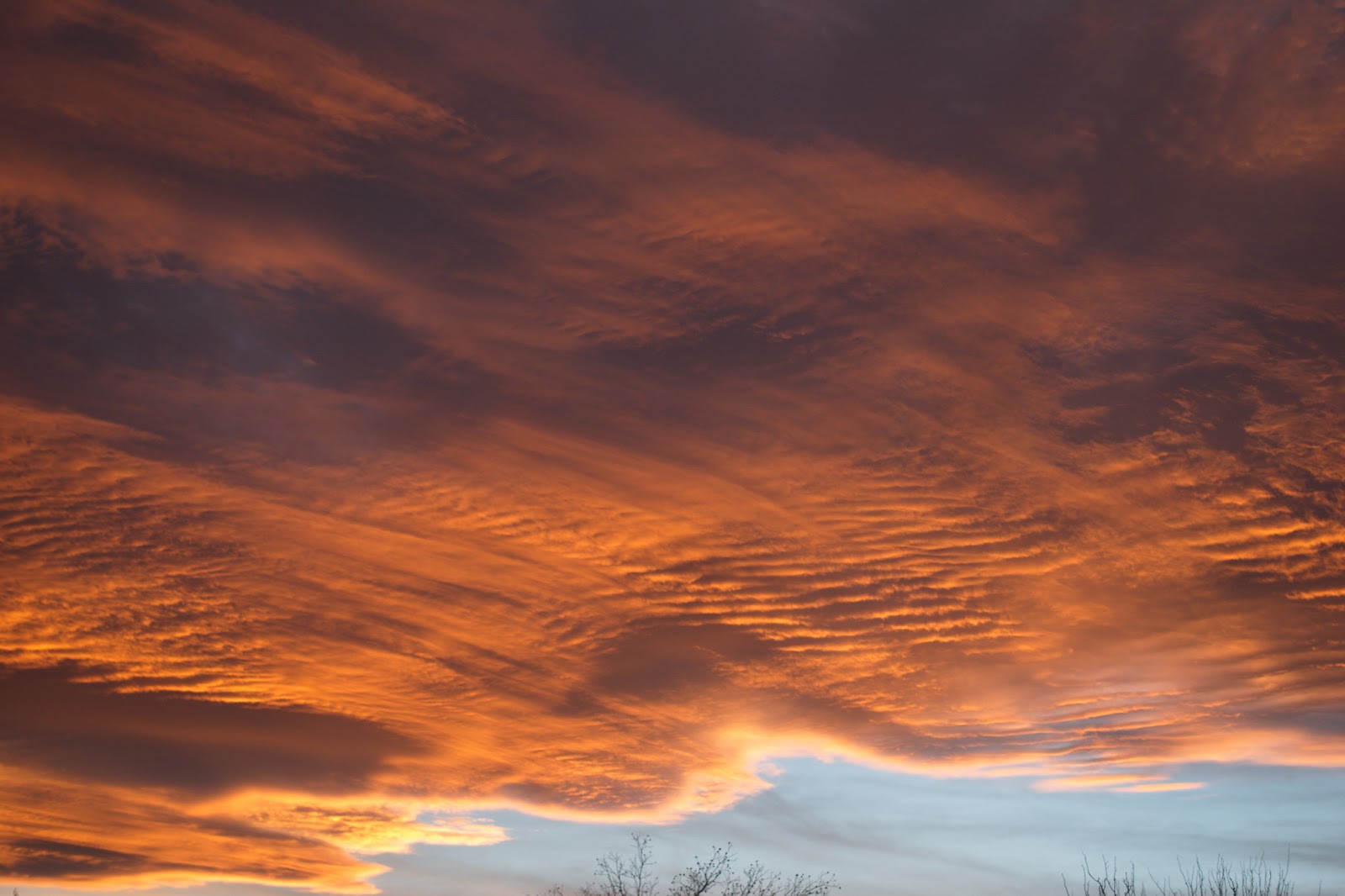 Steve's Fine Finish New Mexico January Sunset