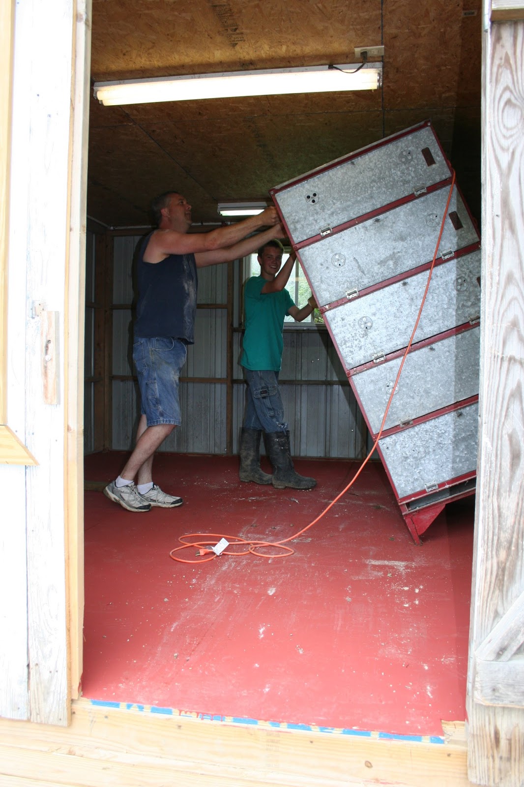 Chicken Scratch Poultry: Brooder House - Move In Day