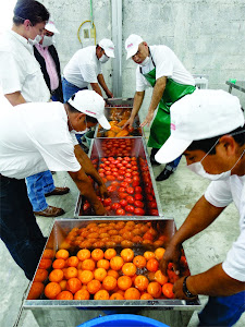 Fábrica instala em Tamaulipas – México