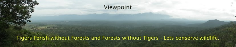 Viewpoint