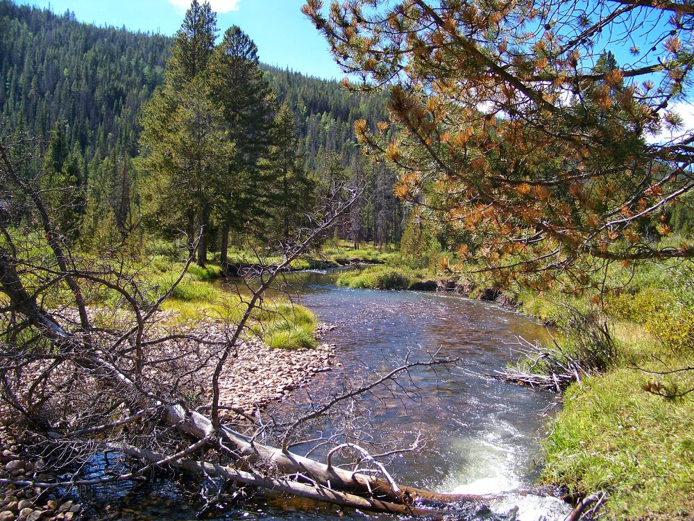 Runaway Bridal Planner Christmas Meadows, Utah High Uinta Mountains