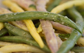 green beans for bearded dragon