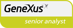 GeneXus Senior Analyst