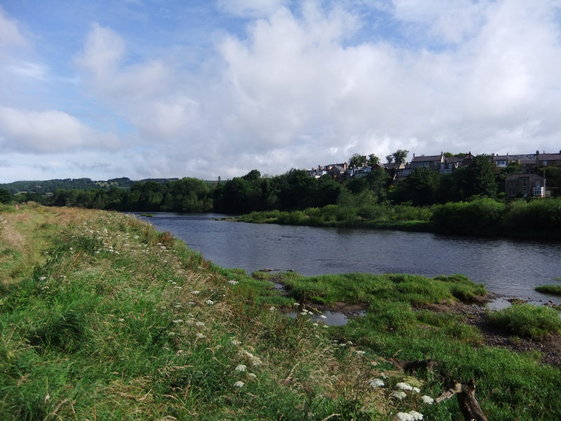 Photographs Of Newcastle Walking the River Tyne Corbridge to Hexham
