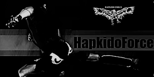 hapkido force