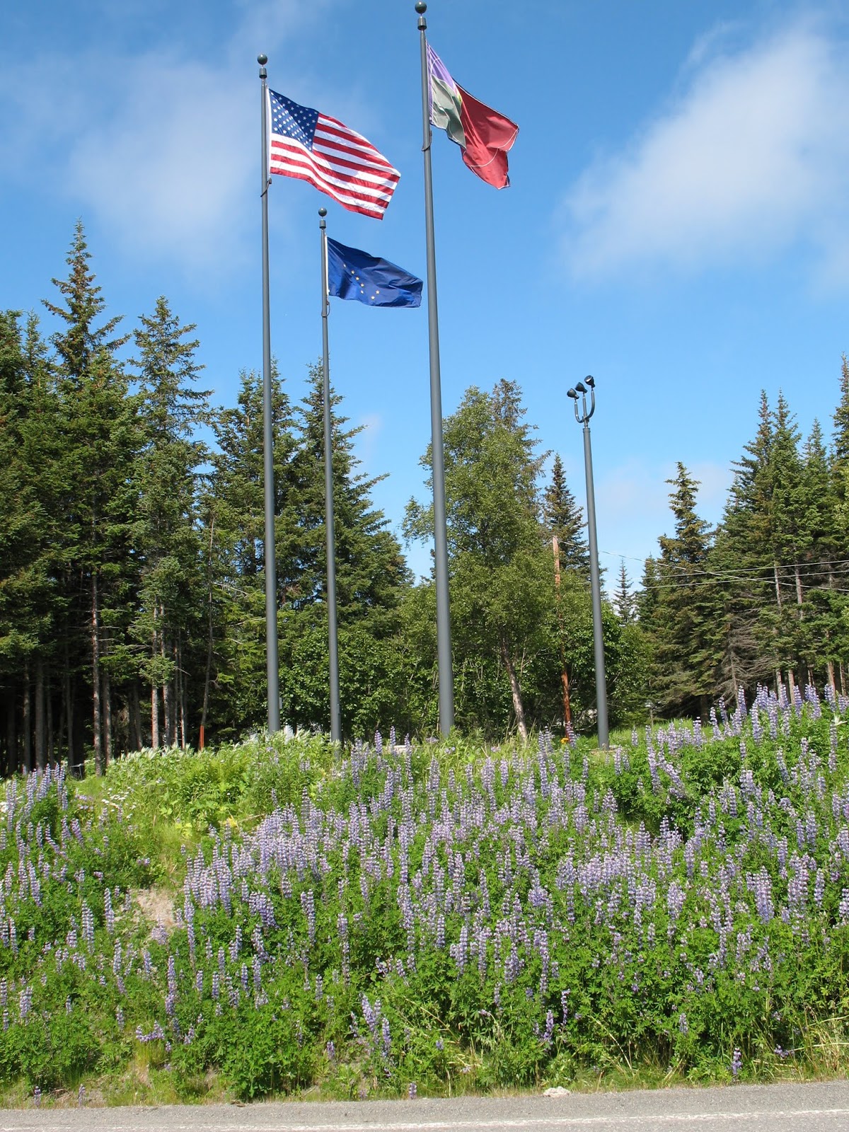 5 MUST KNOWS Before You Convert a Light Pole to a Flagpole FlagRunners