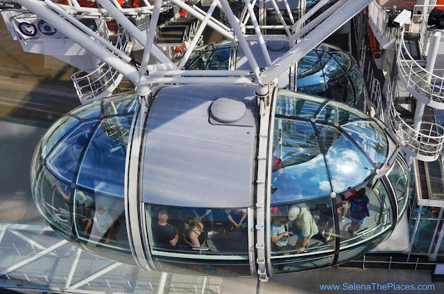 The EDF Energy London Eye