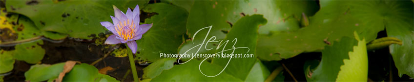 Jenz Photography
