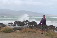 Windy day on Cook Strait