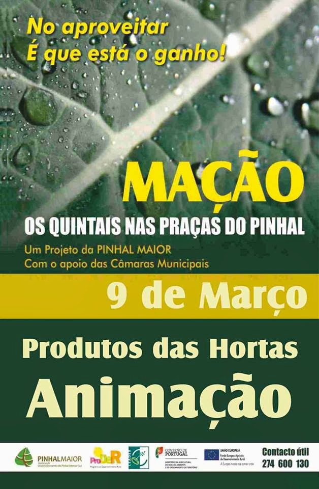 Município de Mação