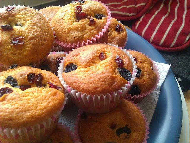 Raisin and Cranberry Muffins