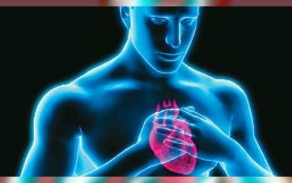 El dolor en el pecho y en la espalda entre las espátulas