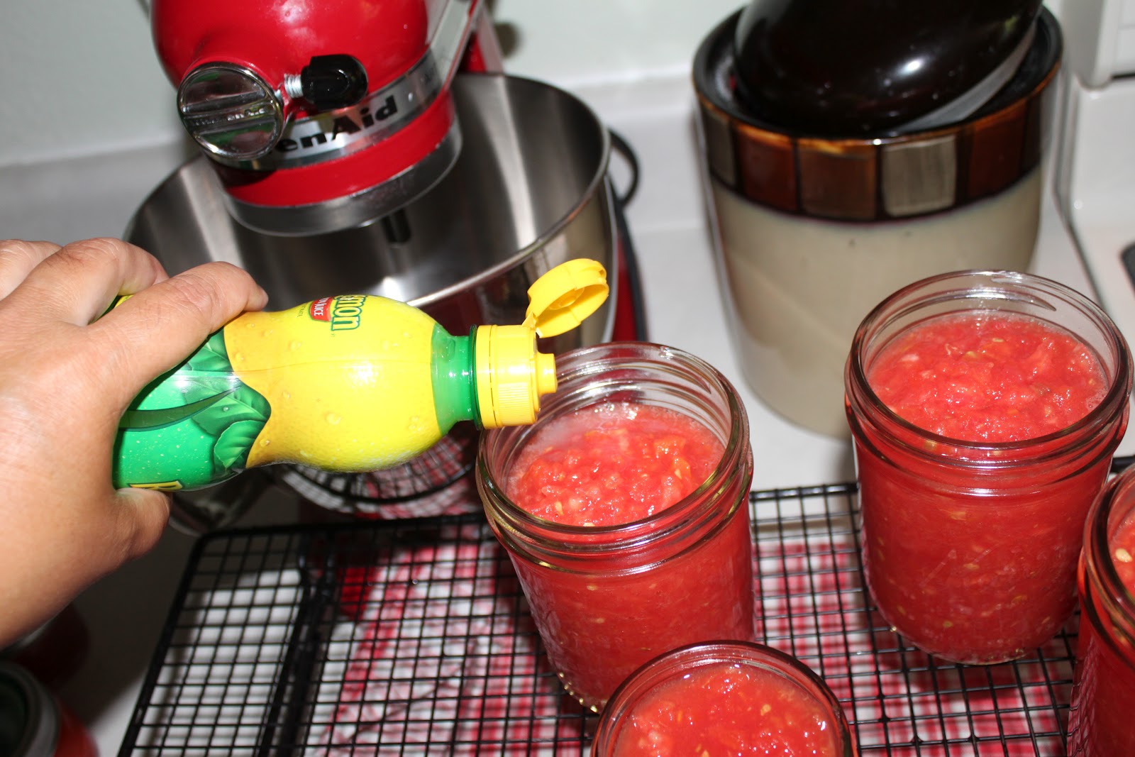 Rediscovering Lost Arts From Our Mothers Canning Tomatoes