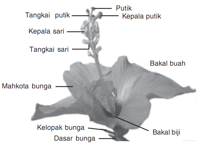 Oktober 2012 Waps Bagi