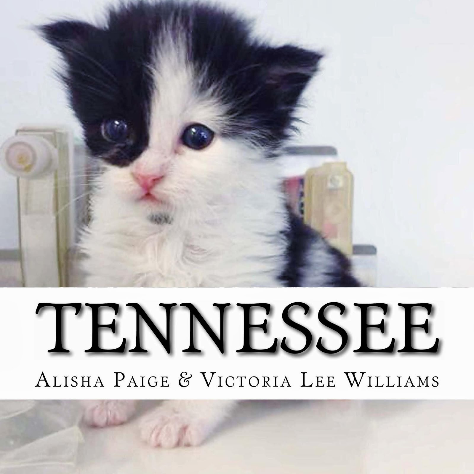 Tennessee, the Story of the World's Best Therapy Cat