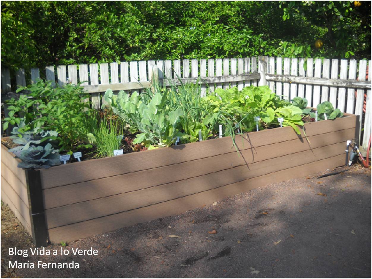 La Doctora De Las Plantas: ¿Cómo hacer un huerto urbano? Huerting