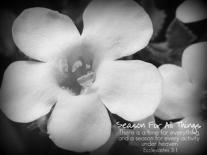 Season For All Things