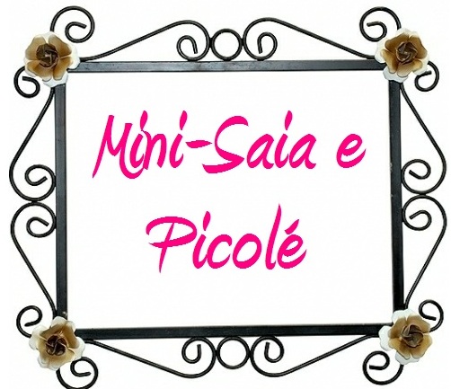 Mini Saia e Picolé