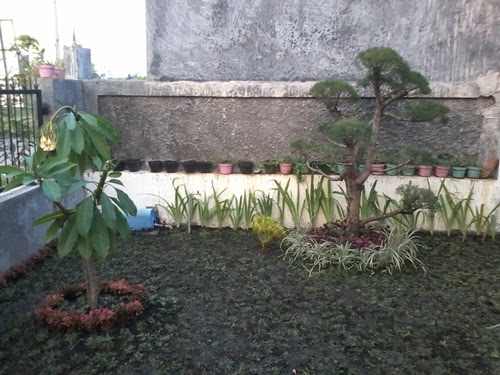 Cara Membuat Taman / Proses Pembuatan Taman ~ Arya Flower Landscape