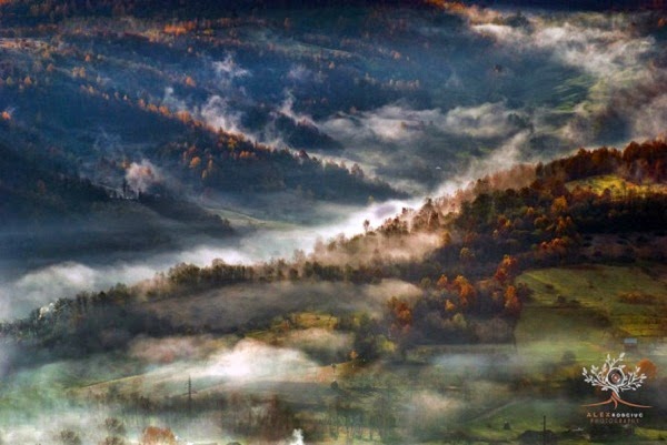 نقره لتكبير أو تصغير الصورة ونقرتين لعرض الصورة في صفحة مستقلة بحجمها الطبيعي