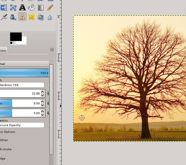 gimp photoshop clone gimp photoshop clone
