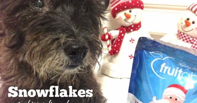 fruitables vanilla snowflake dog treats