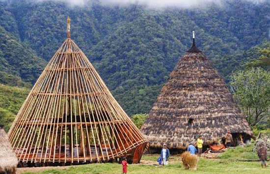 Hasil gambar untuk struktur rumah desa wae rebo wisata arsitektur