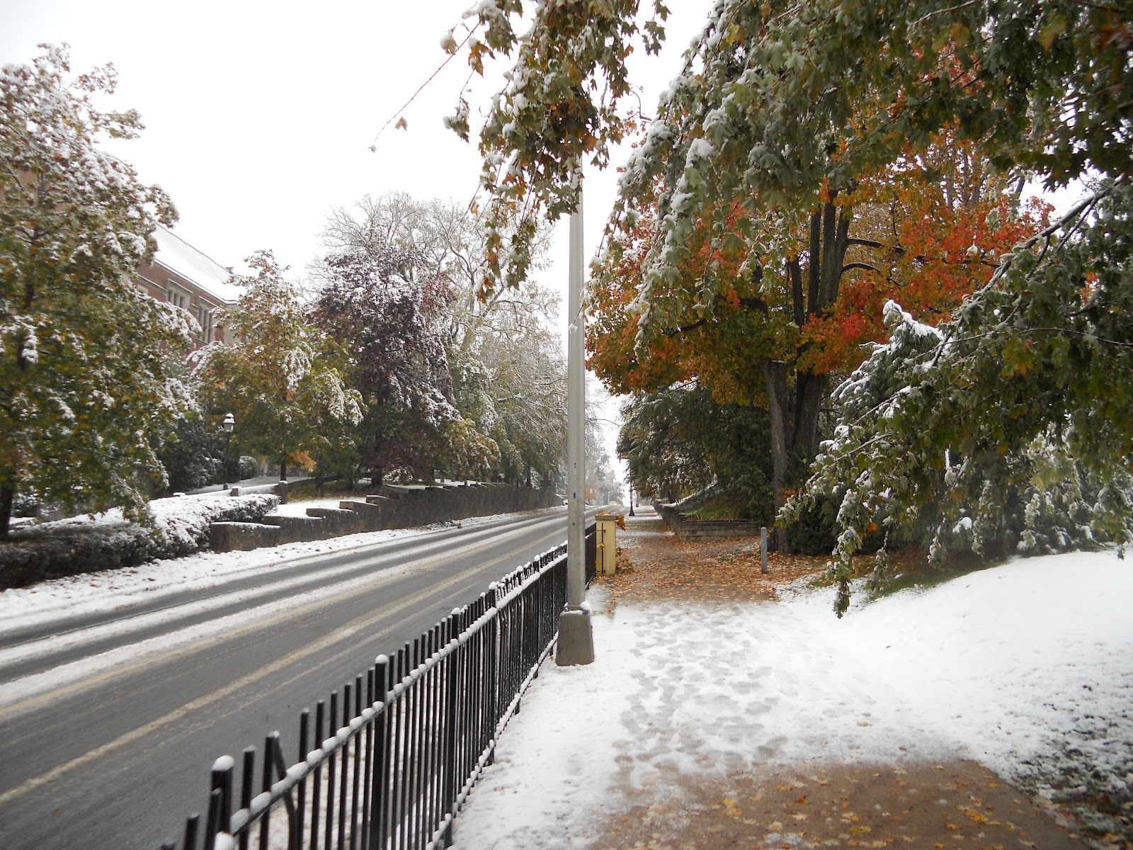 Nature Photography First Snow at Princeton