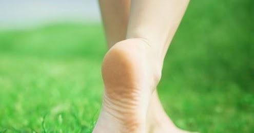 A Walk On The Grass…