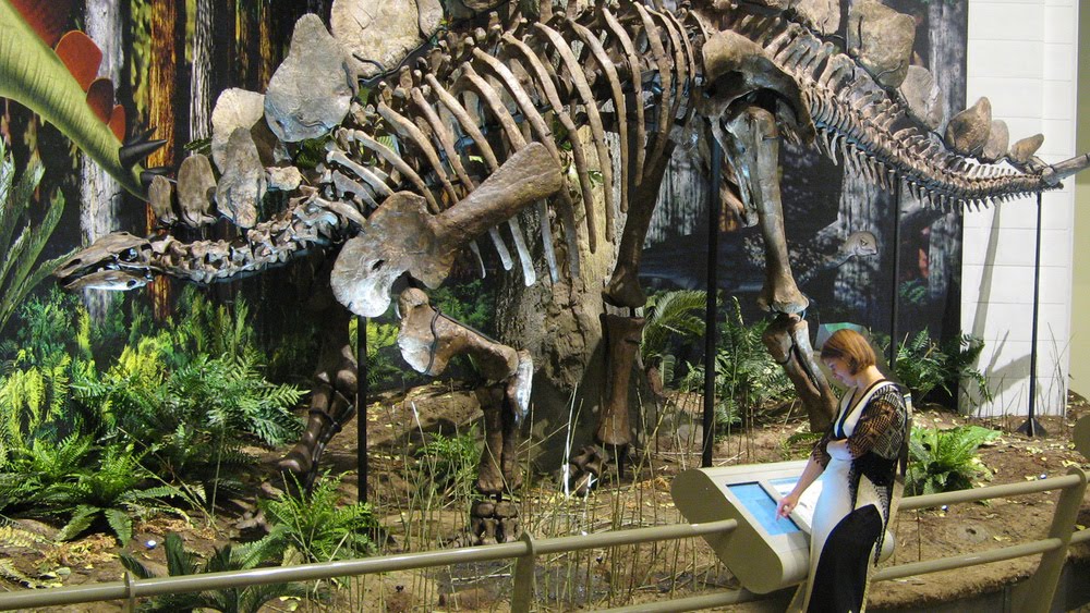 Staff Carnegie Museum Of Natural History Staff Carnegie Museum Of Natural History