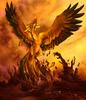 The Phoenix Rising......