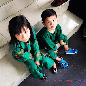 Damia Alani | Emir Nawfal