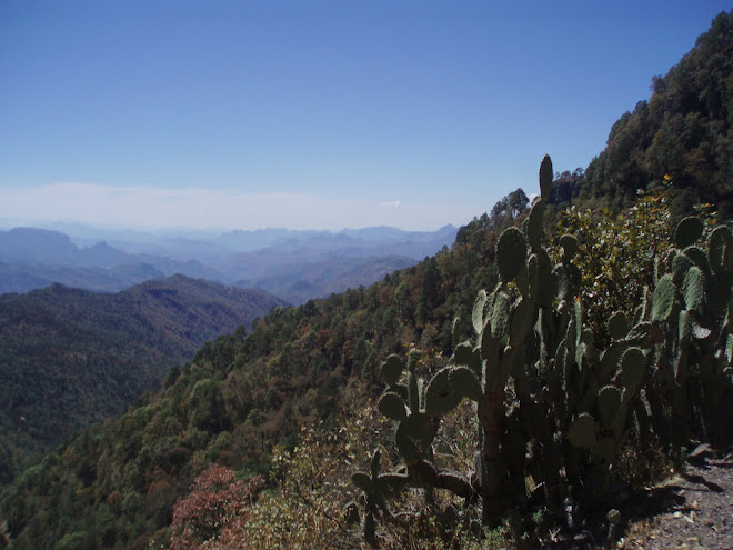 sierras south west of durango